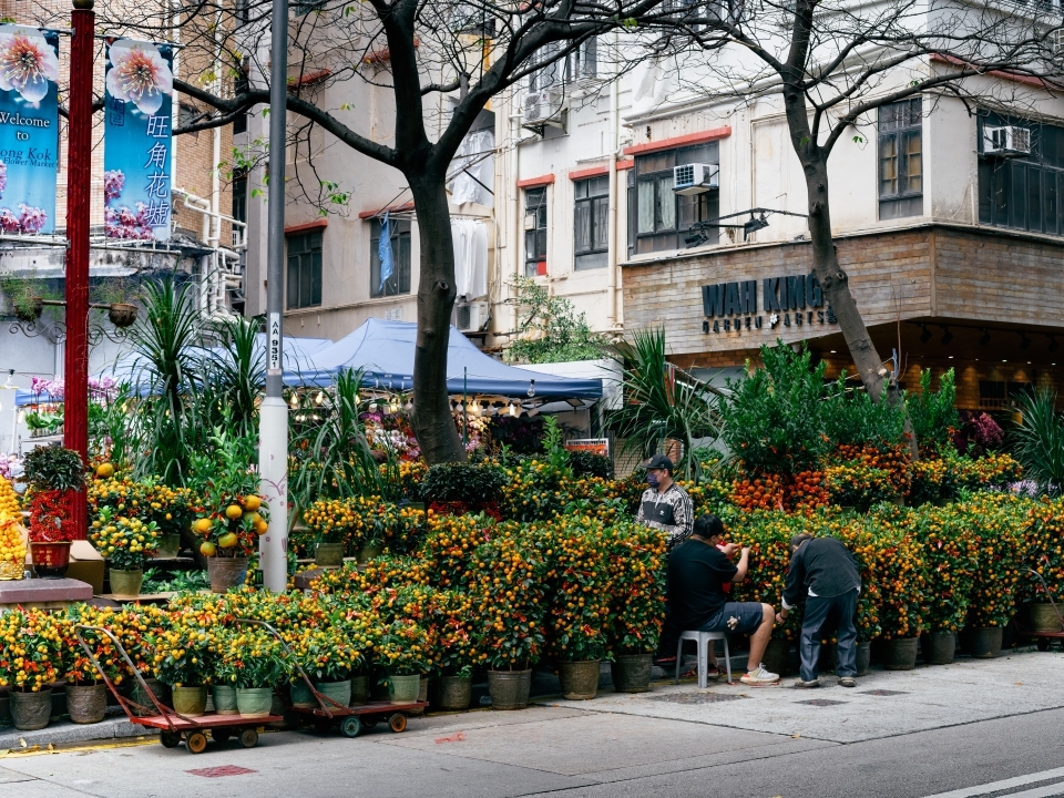 旺角花墟的花店在街上摆放的年桔