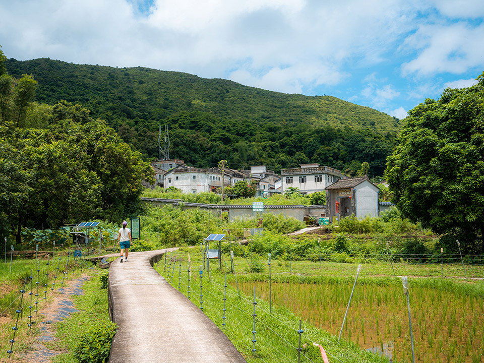深度體驗鄉村生活風情