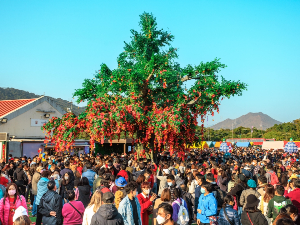 农历新年期间，林村许愿树前聚集大量人群。
