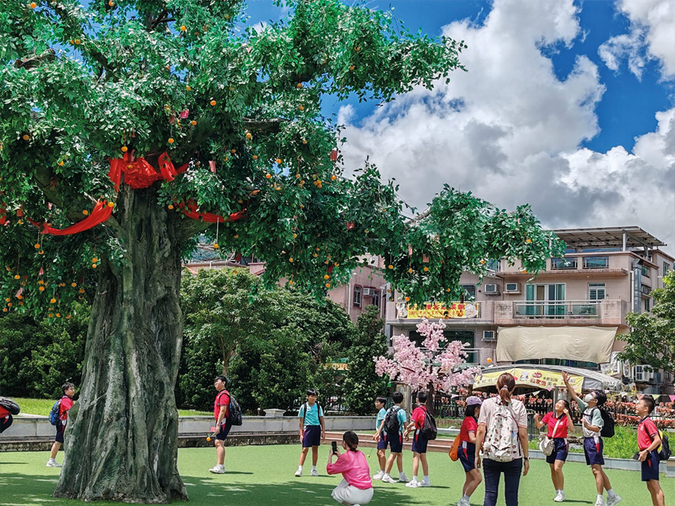 一群孩子聚集在林村的许愿树旁。