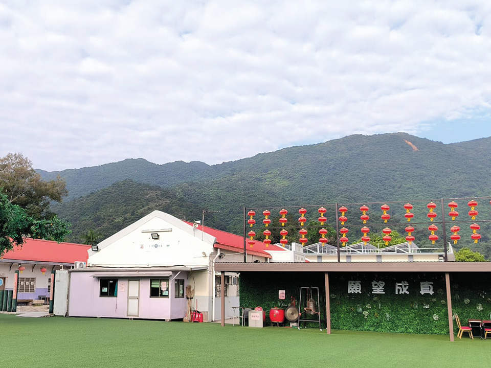 许愿树及周围环境。