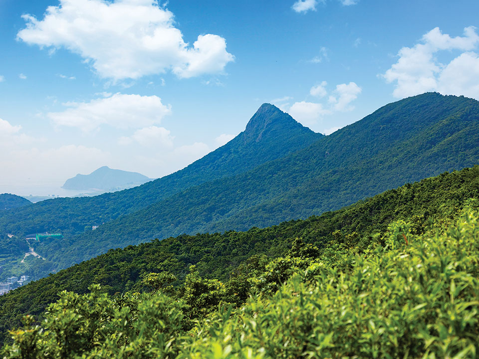 上洋山美景尽现眼前