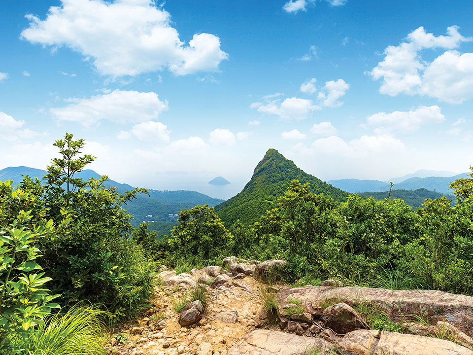 庙仔墩山顶景观开扬