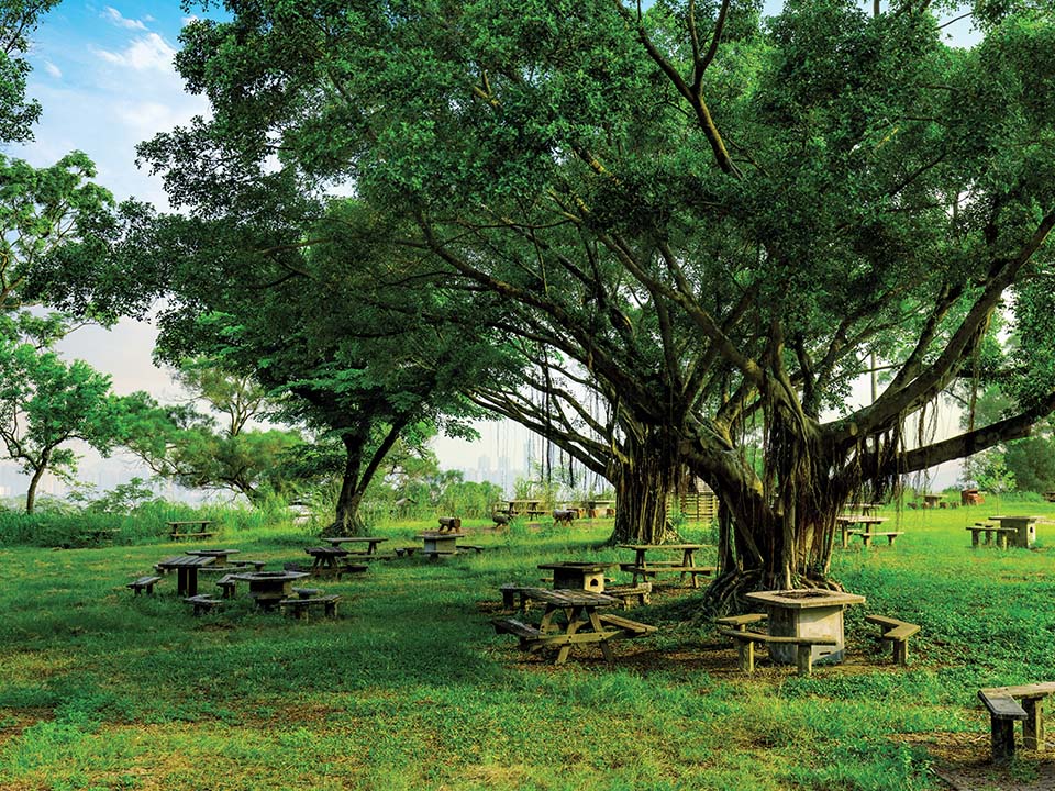 风景如画的大榄郊野公园