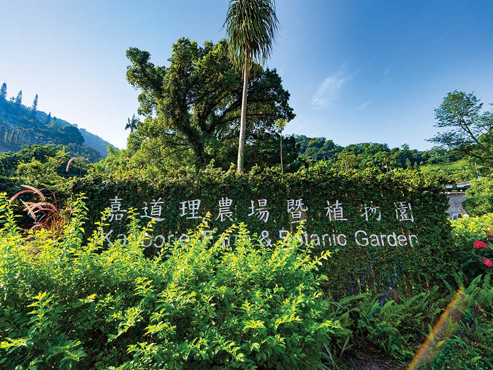 嘉道理农场暨植物园入口