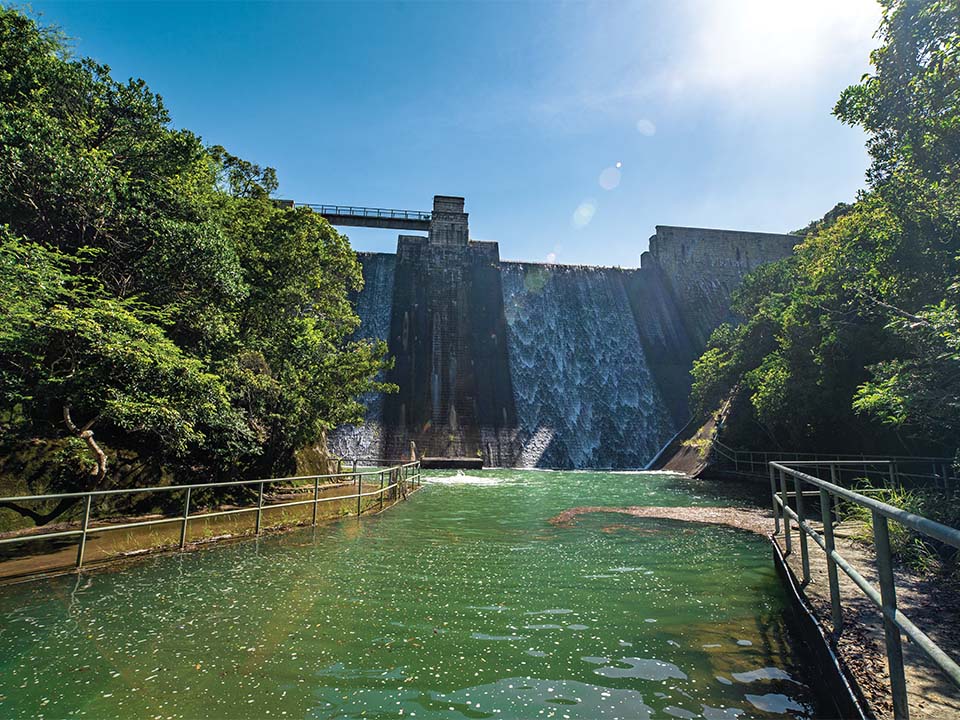 大潭中水塘水坝3