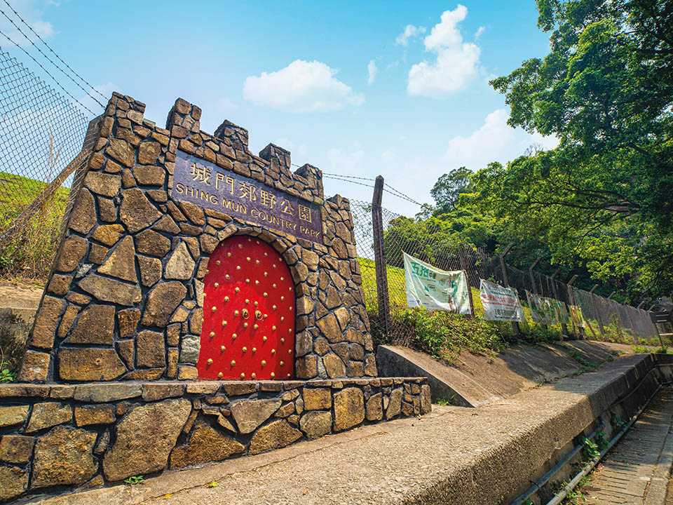 Shing Mun Reservoir, Butterfly