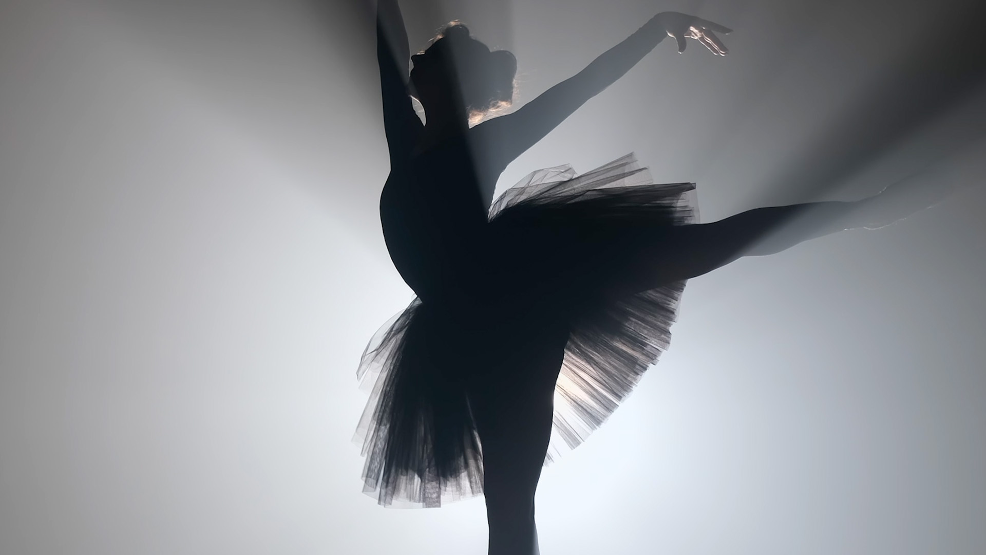 香港的表演艺术界百花齐放