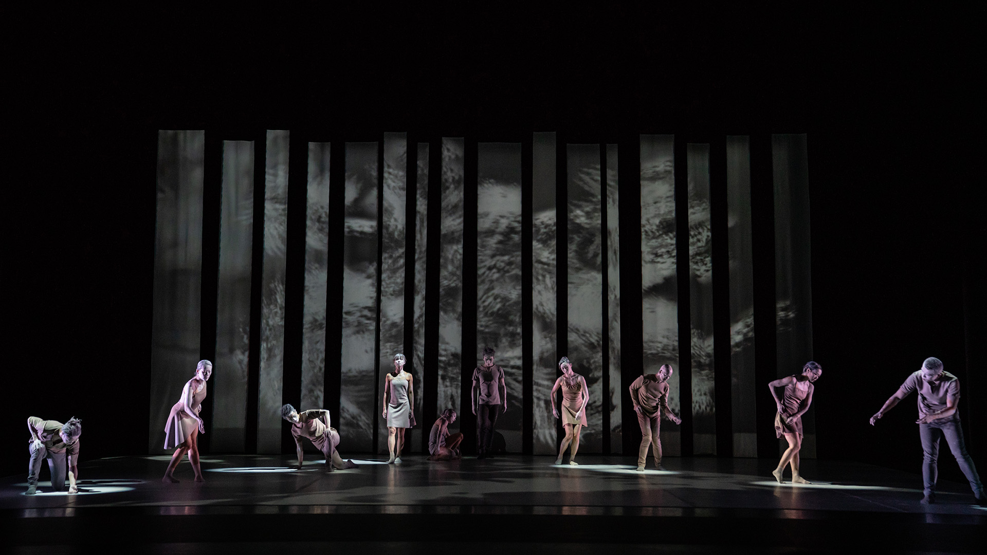 城市当代舞蹈团作品风格鲜明