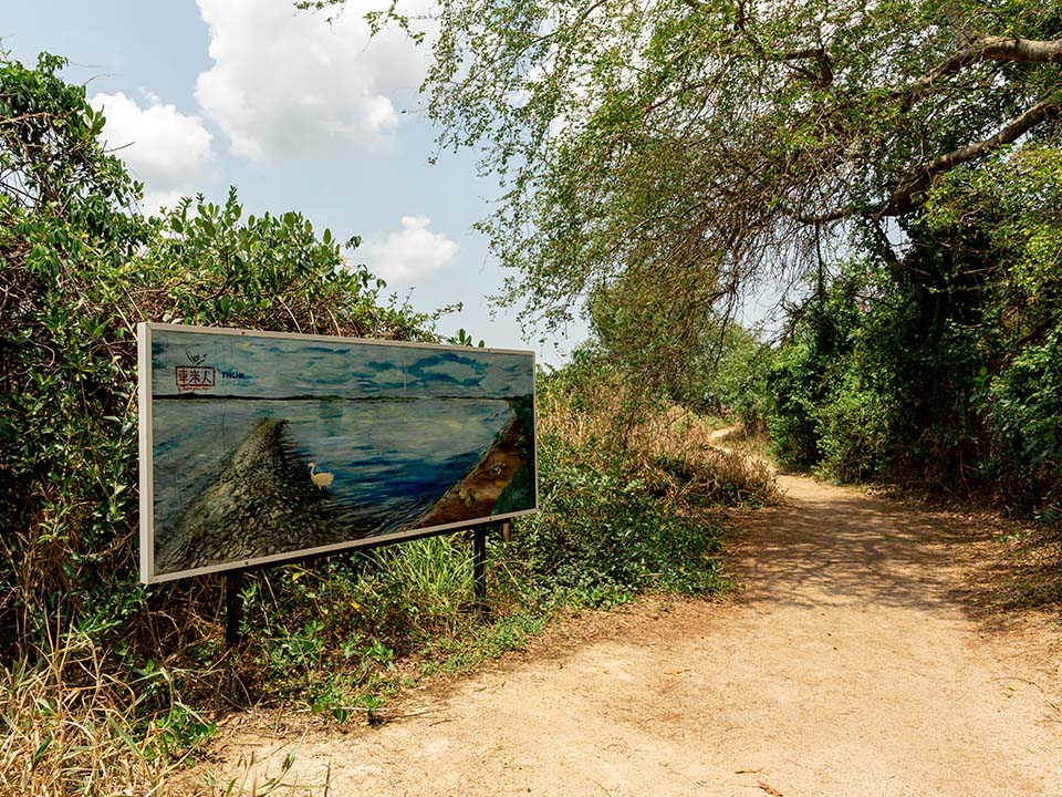 香港艺术家3人组“车米人”创作的画作在下白泥展出。