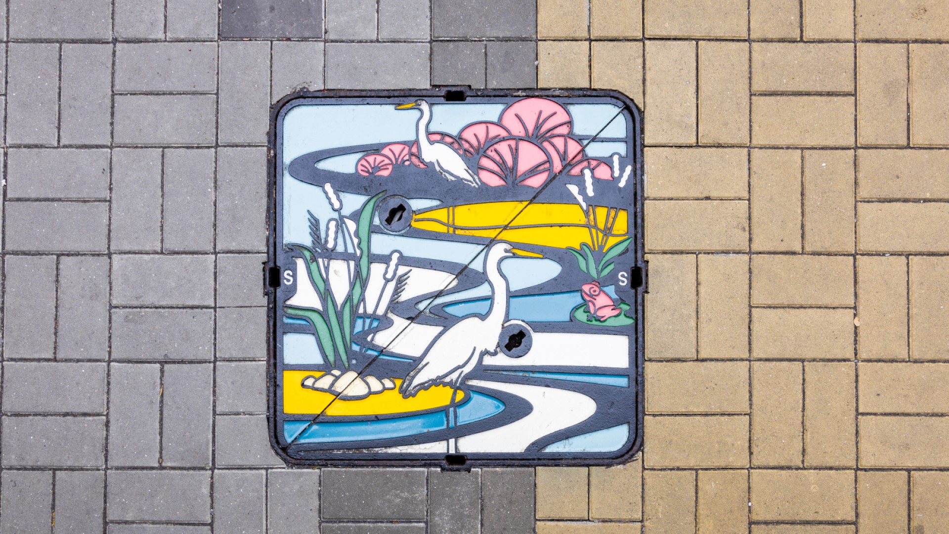 以大围村南路的白鹭为主题的特色渠盖