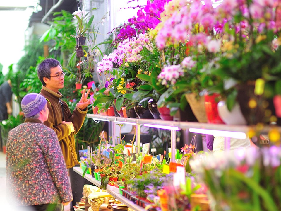 年宵花市散落香港各区。