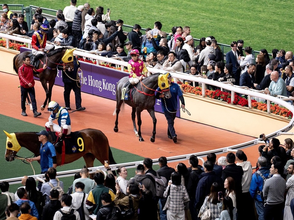 Parade ring