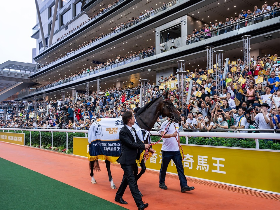 Parade ring