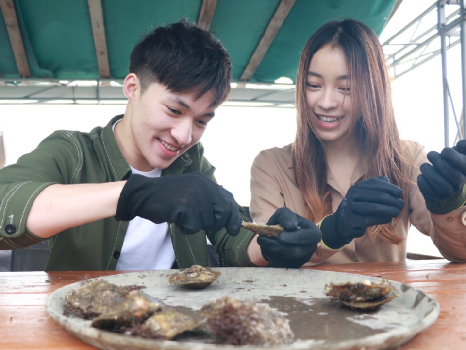 一对情侣在西贡珍珠养殖场采集珍珠。