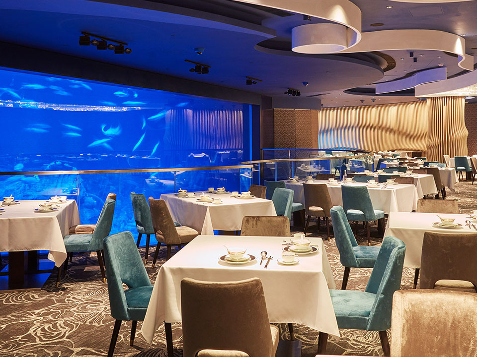 海龙王餐厅以海洋公园的巨型水族馆为背景。