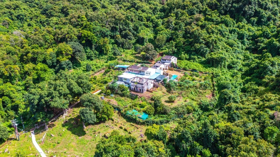 庆春约文化径旁一间村屋周围树林茂密繁盛