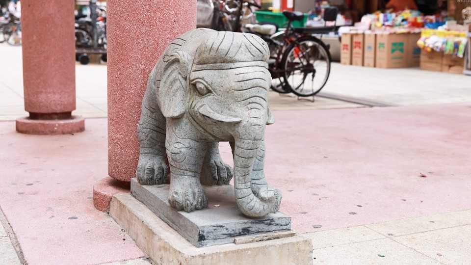 沙头角十大文化体验