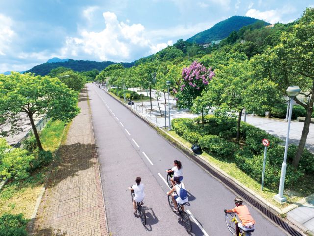 追风前，先看看香港自行车旅游小贴士