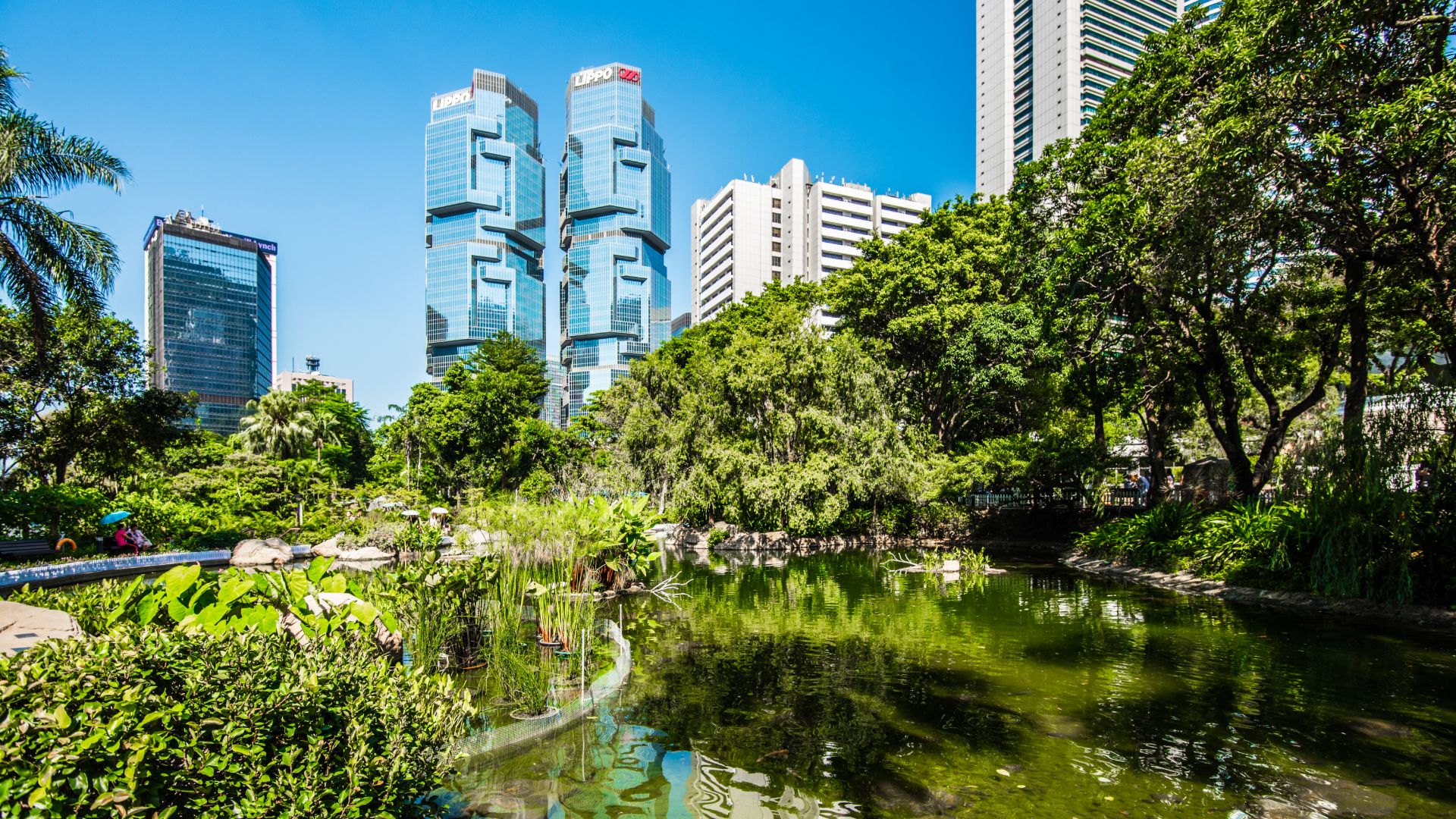 漫游香港闹市里的绿洲