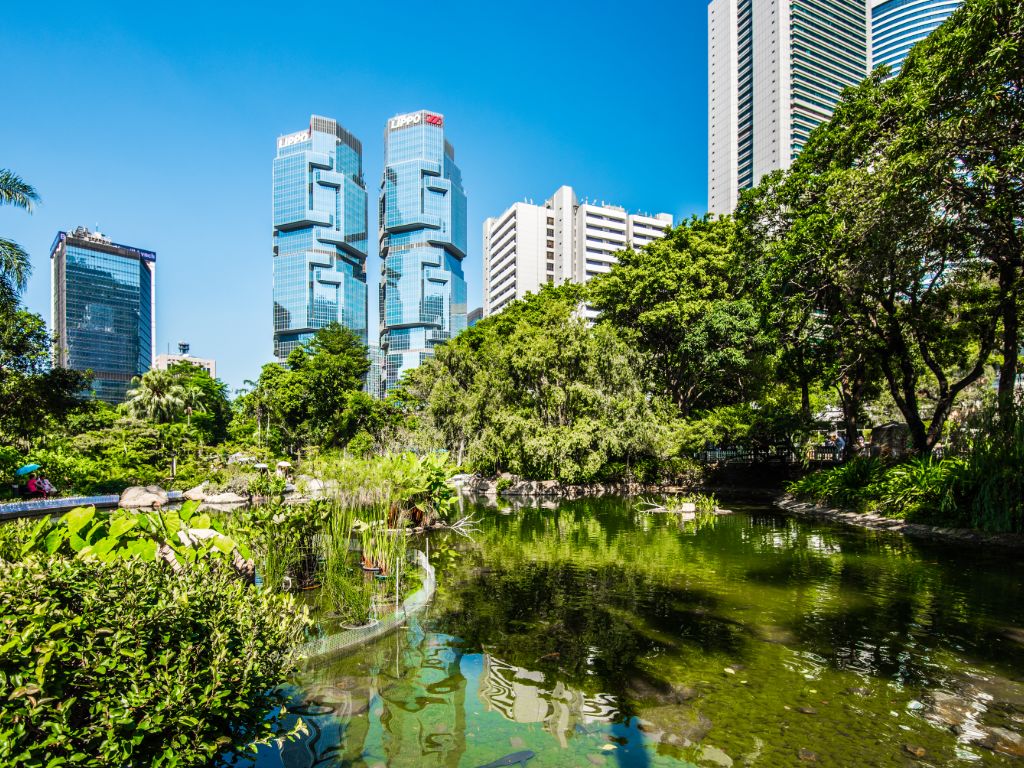 漫游香港闹市里的绿洲