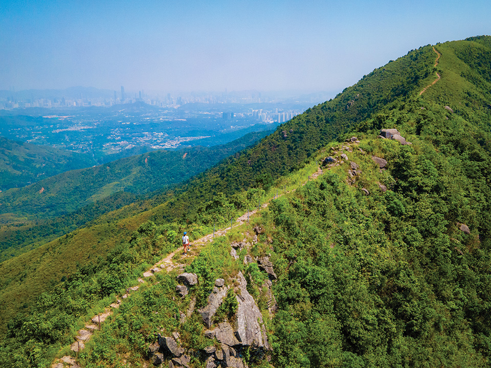 Eric Wikramanayake喜欢走访香港生物多样性丰富的地区，例如大刀屻。