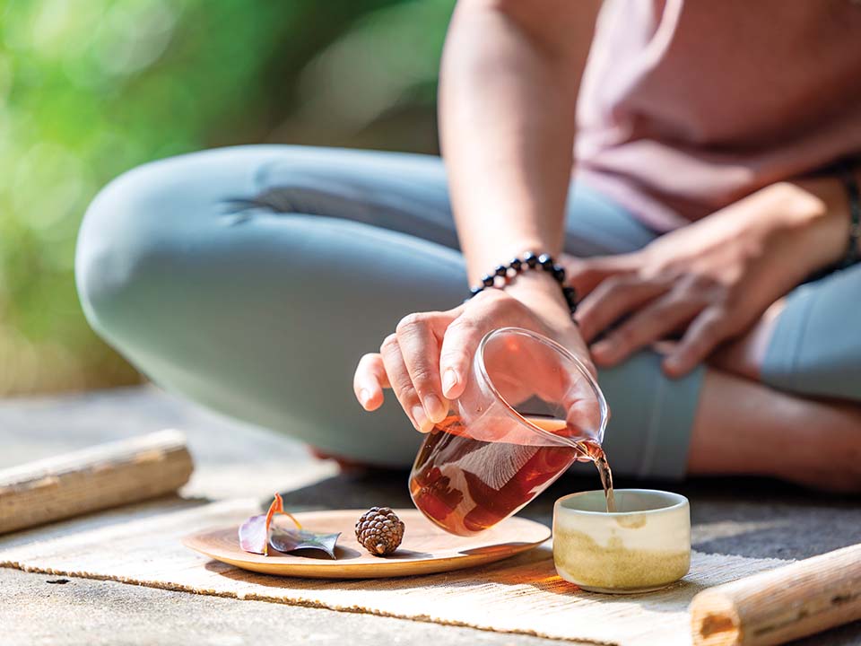 放慢节奏体验森林浴