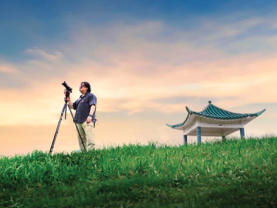 大坑墩风筝场的大片草地