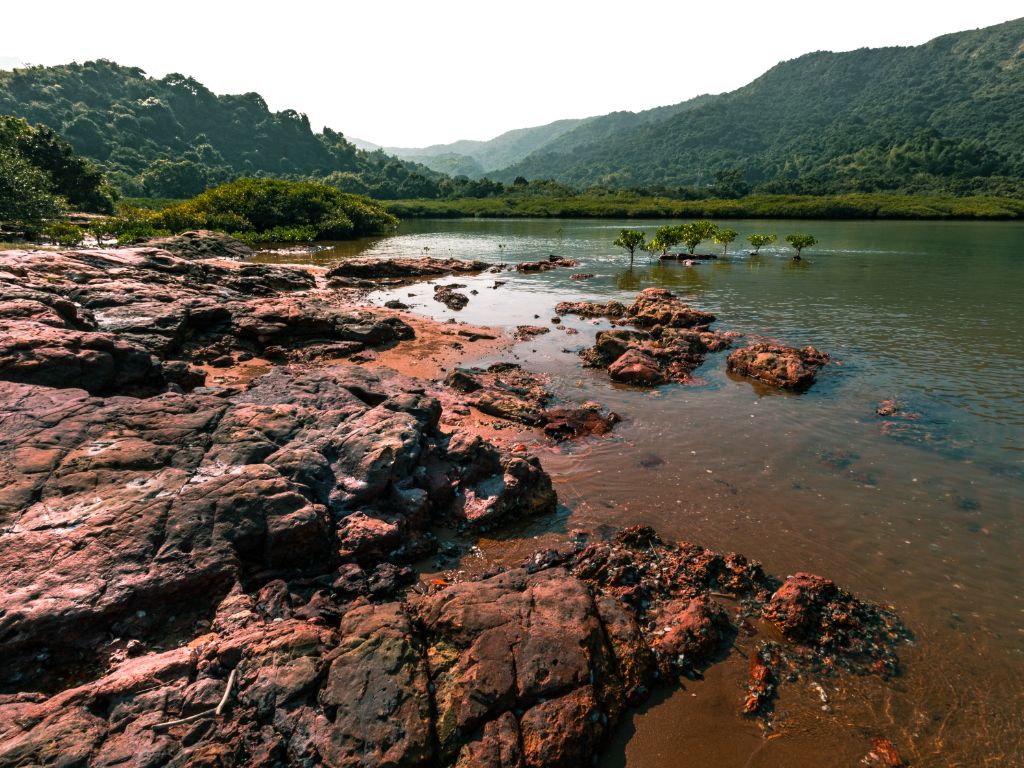 印洲塘以平静的水域及温和的小气候而闻名。