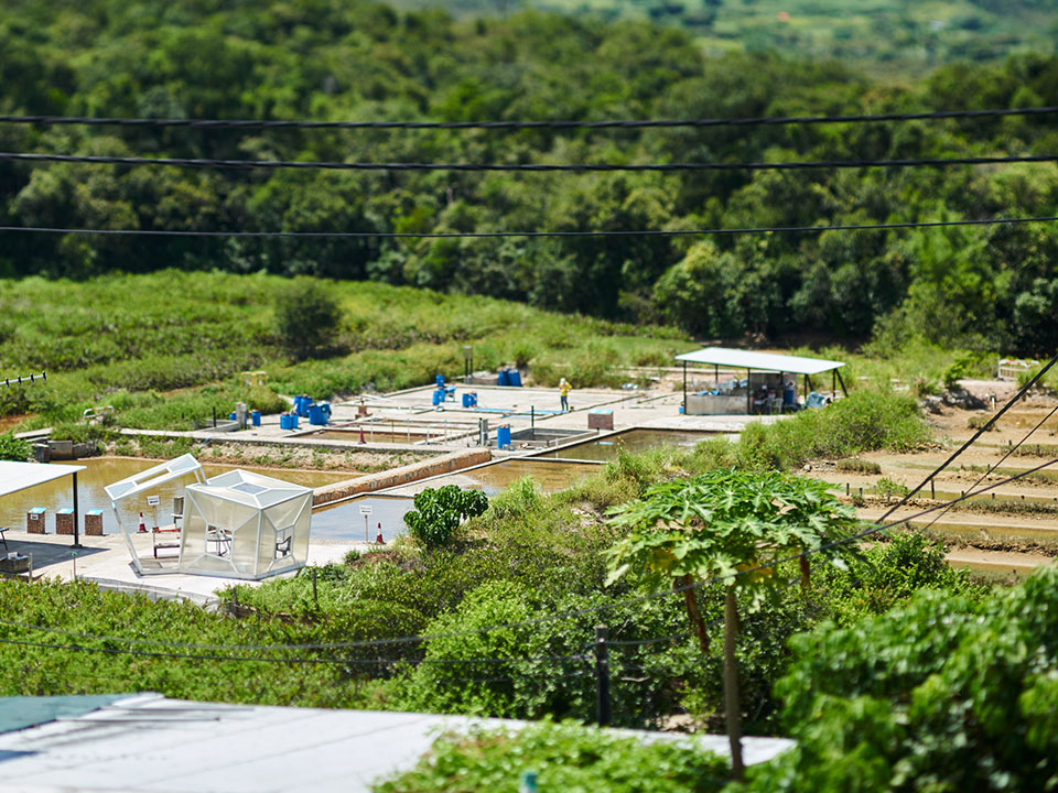游客可在盐田梓看到香港硕果仅存的盐场。