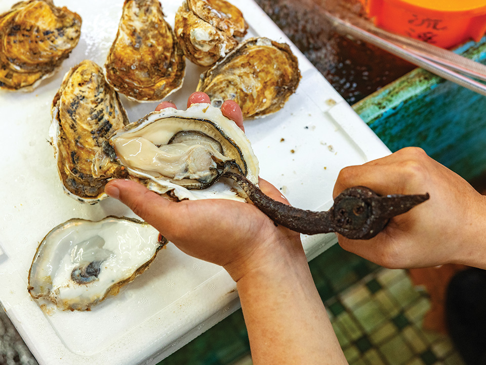陈树锋撬开新鲜采收的生蚝。