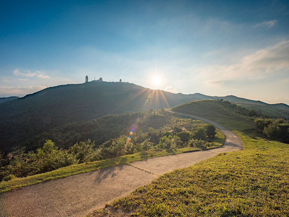 日光下的大帽山远足径