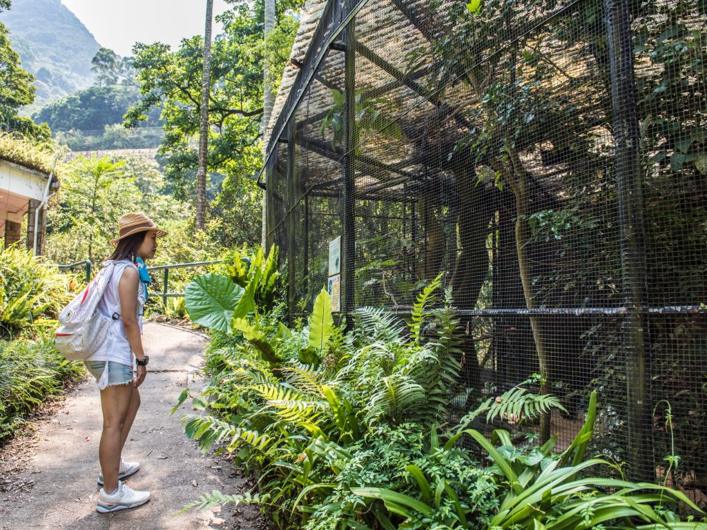 嘉道理农场暨植物园