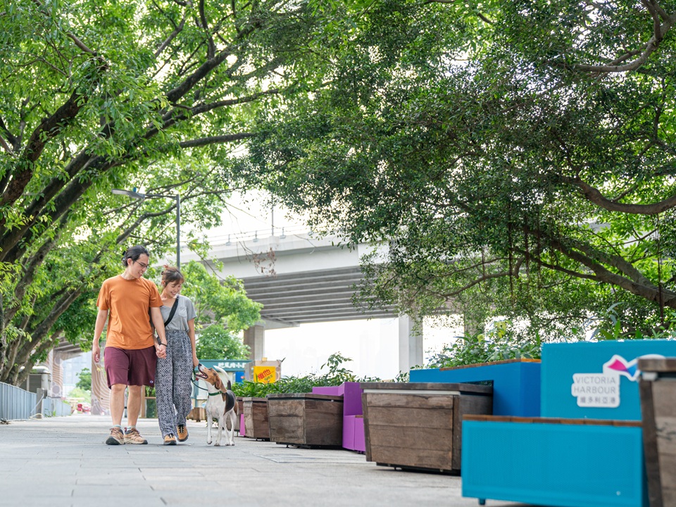 维港活力避风塘主题区