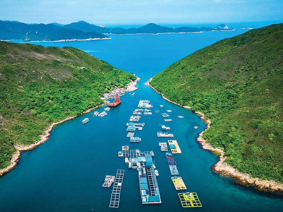 kau-sai-chau