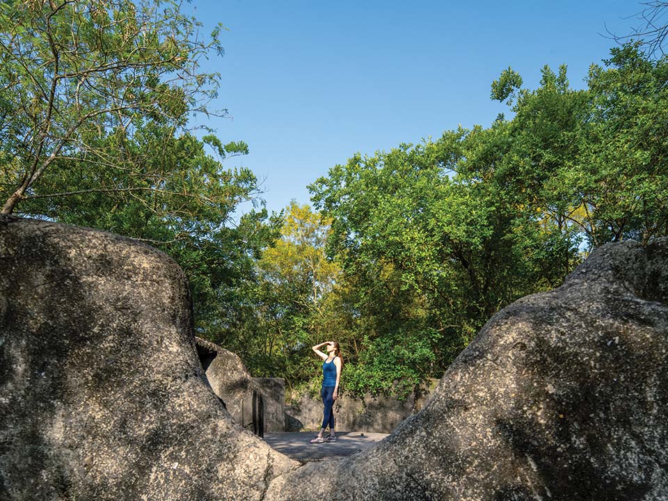 龙虎山松林炮台