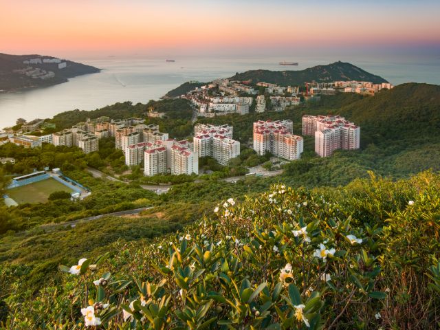 紫岗桥