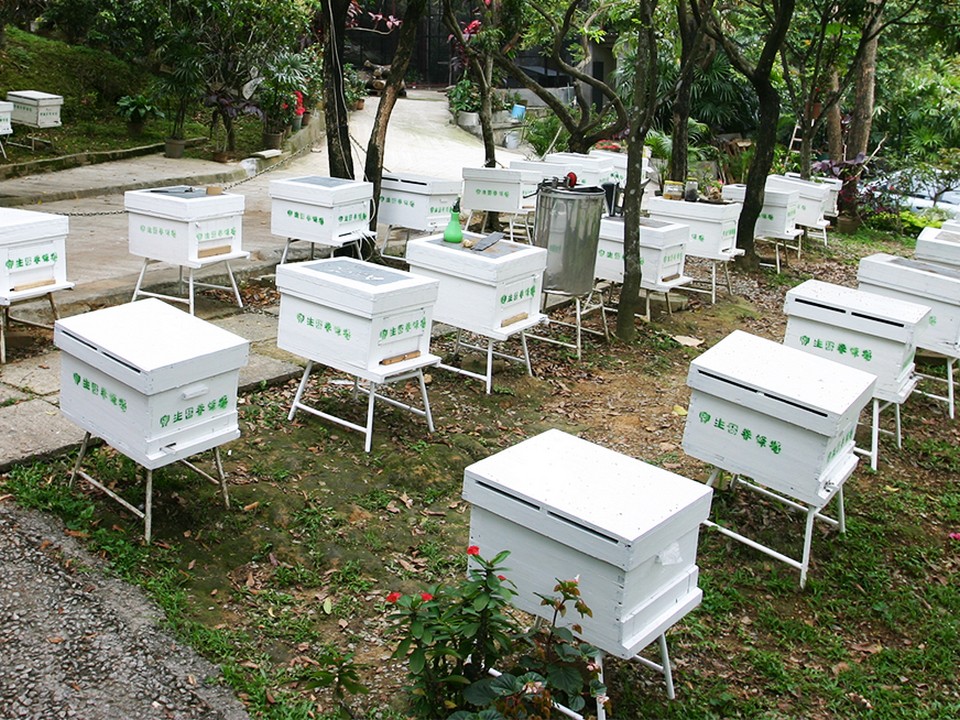 宝生园养蜂场