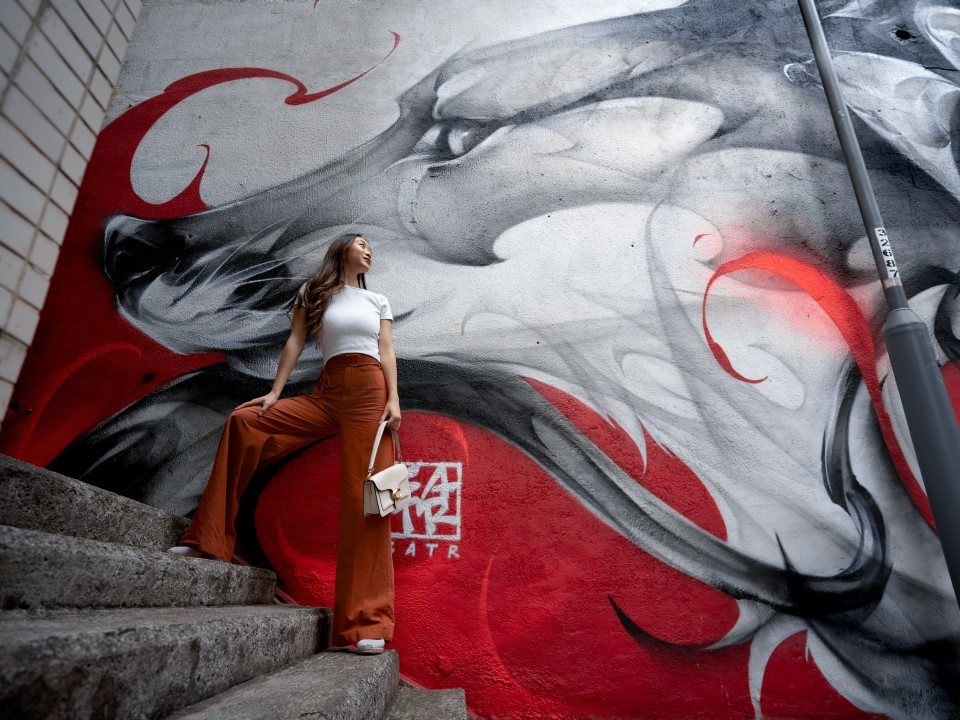 壁画以狐狸和小鸟等动物为主题。