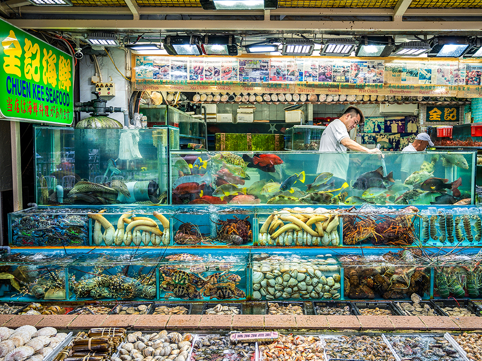 Hong Kong UNESCO Global Geopark