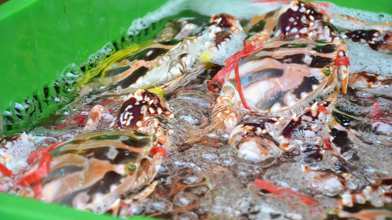 香港仔鱼类批发市场及海滨公园