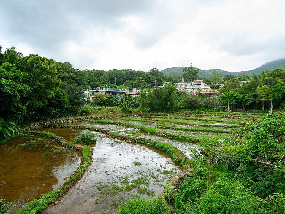 川龙村是融合美丽自然景观与历史文化的客家村落。
