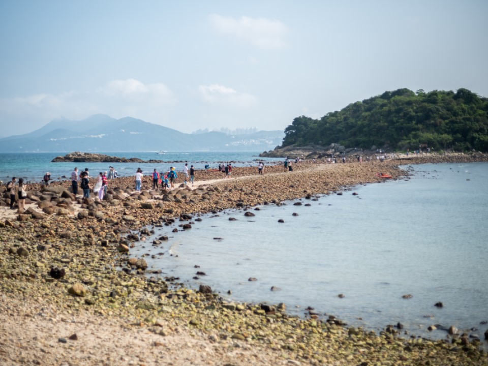 西贡海艺术节导赏团