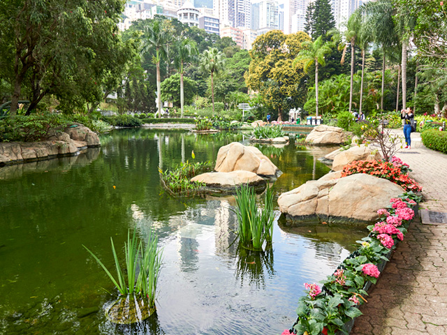 自然寻趣：香港公园自然寻趣之旅
