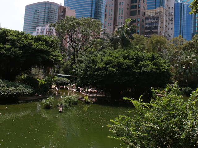 城市绿洲：九龙公园自然生态之旅