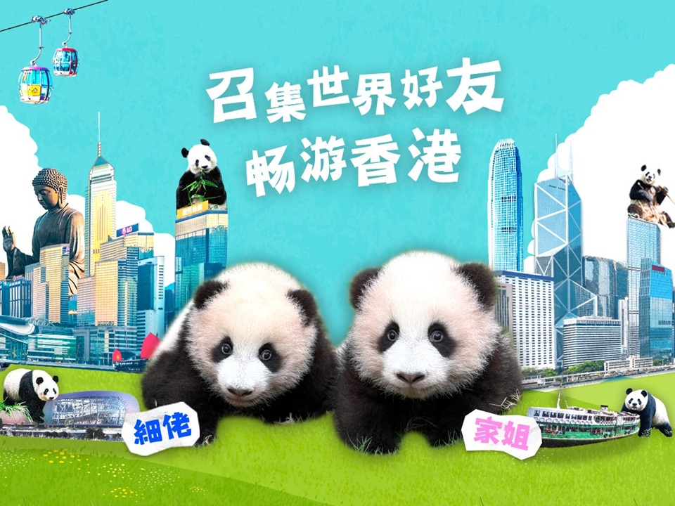 ⼤熊猫龙凤胎宝宝名字即将揭晓 敬请期待！